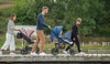 Lionelo Annet Plus Stone Carmel 700962 wózek spacerowy