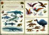 Opowiem ci mamo co robią dinozaury 137784
