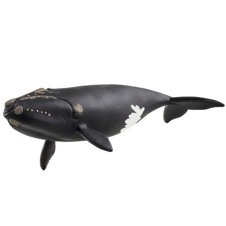 Schleich Wild Life Wieloryb biskajski 762241