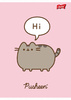 Zeszyt A5 60k krata laminowany PUSHEEN 679704