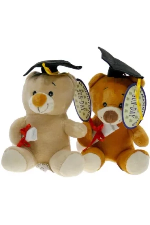 Plusz Miś Absolwent szkolny 12cm 146625