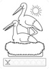 KOLOROWANKA WIOSNA 222138 