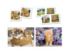 Clementoni superkit memo+-domino+2xpuzzle 30 animals 