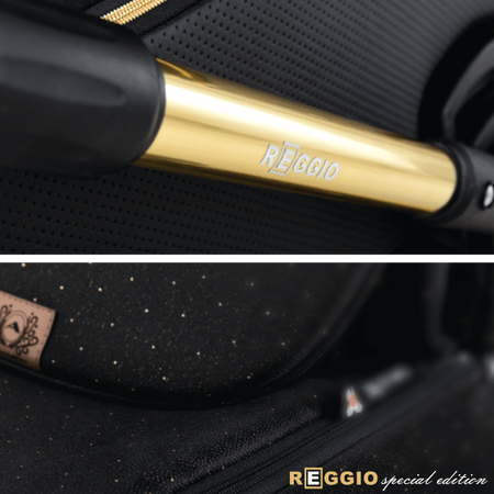 Wózek dziecięcy reggio special edition y300