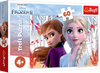 Puzzle Trefl 60 Zaczarowany świat Anny i Elsy Disney Frozen II