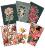 Zeszyt Top 2000 A4 60k krata z marginesem 70g Flowers 411949