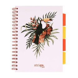 Strigo Pads tropiki pelikan B5 kratka biały 100k 80g 842499