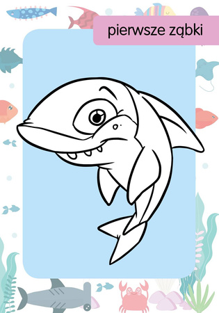 Książeczka Kolorowanka z tatuażami. Rekiny 074710