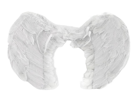 SKRZYDŁA ANIOŁKA DUŻE 444041