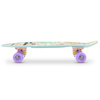 Deskorolka fish Groovy 445926
