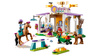 Lego 41746 Friends Szkolenie koni 