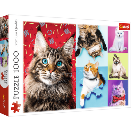 Puzzle Trefl 1000 Wesołe koty 105957