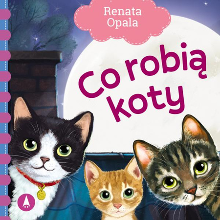 Książeczka Co robią koty 079333
