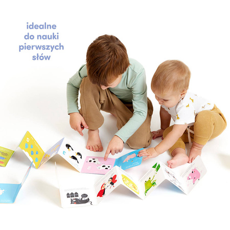 CzuCzu: Biblioteczka Odkrywcy