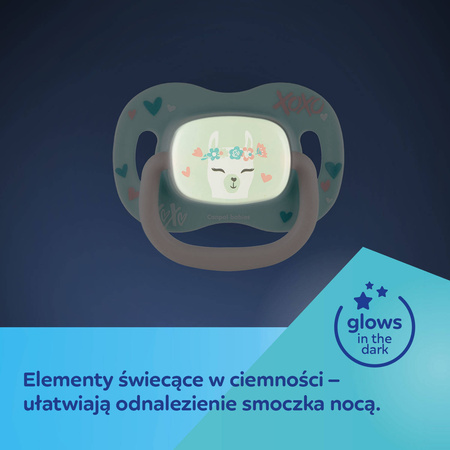 Canpol babies smoczek silikonowy6-18 m symetryczny Exotic (panda)