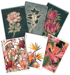 Zeszyt Top 2000 A4 60k krata z marginesem 70g Flowers 411949