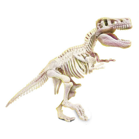 Clementoni Naukowa zabawa Skamieniałości T-Rexa 508587