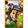Puzzle Trefl 3x80 Psia zgraja 348866