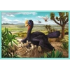 Puzzle Trefl 10w1 Poznaj wszystkie dinozaury 903904
