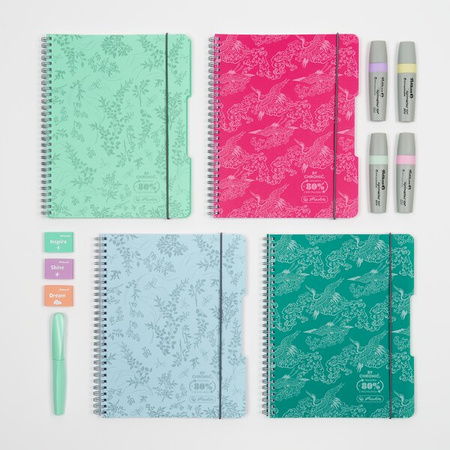 Herlitz Kołozeszyt B5 80k krata 70g 2 spirale Eco PP Colors 501445