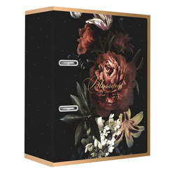 SEGREGATOR A4 75 2R DŹ MET SAT.G BLOSSOM 296627