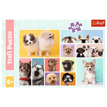 Puzzle Trefl 160 Psia przyjaźń 154122