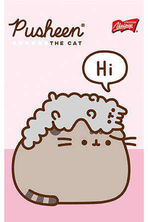 Notatnik A6 50k kratka PUSHEEN 716607