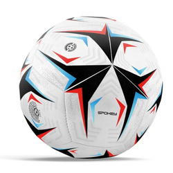 Piłka nożna Flick 449900