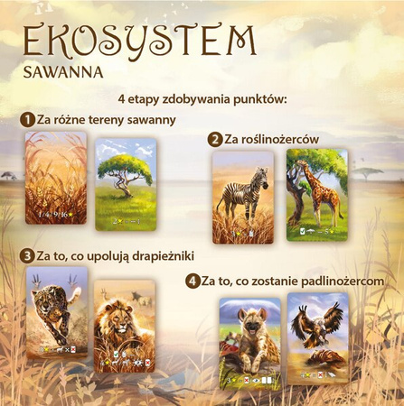 Gra Ekosystem 3 Sawanna 903188