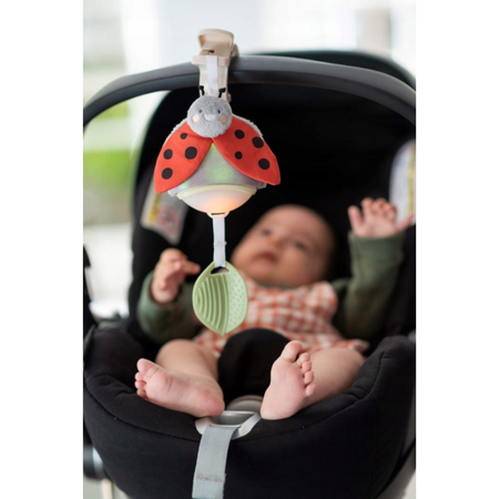 Taf Toys Pozytywka Garden Biedronka 132457