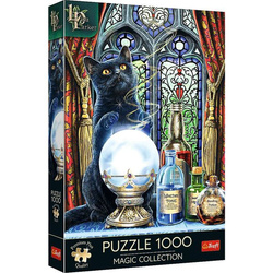Puzzle Trefl 1000 Premium Plus Magic Collection Uczeń czarownicy 108989