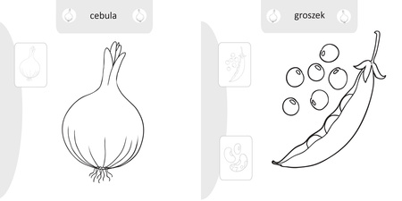 Książeczka Malowanie doklejanie Warzywa 071122
