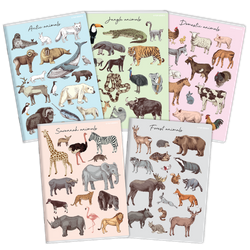 Zeszyt Top 2000 A5 32k 3linia kolor 70g PP 415886