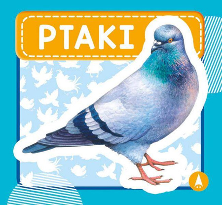Ś.M.Ptaki 075953