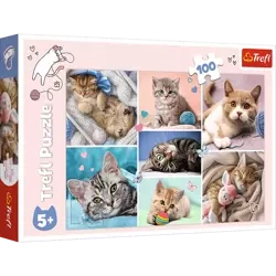 Puzzle Trefl 100 W kocim świecie