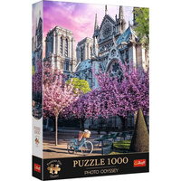 Notre-Dame w Paryżu