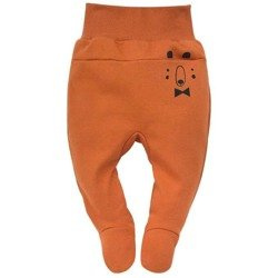 Półśpiochy bears club 62 brąz pinokio