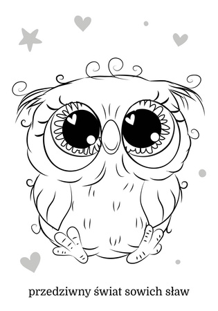 Książeczka Maluszkowe malowanie. Czarujące sówki 074246