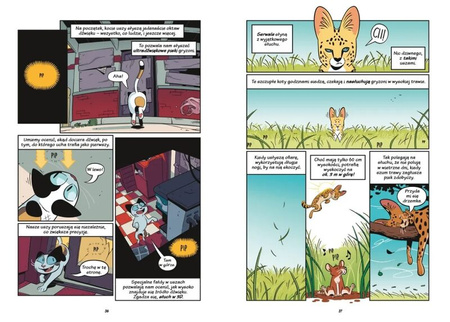 Koty natura i wychowanie 143518