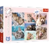 Puzzle Trefl 100 W kocim świecie