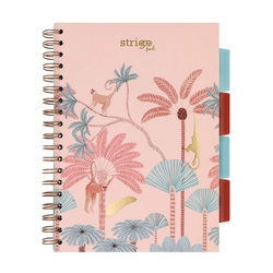 Strigo Pads Afryka A4 kratka pastelowy beżowy 100k 80g 842567