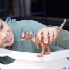 Schleich Majungazaur 522111