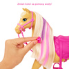 Barbie GXV77 Zestaw koniki Stylizacja i opieka 963298