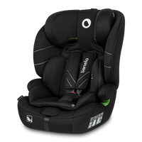 Black Carbon