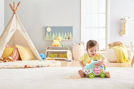 Fisher price gjb11 interaktywny jeż