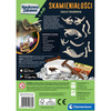 Clementoni Naukowa zabawaTriceratops fluo 508600