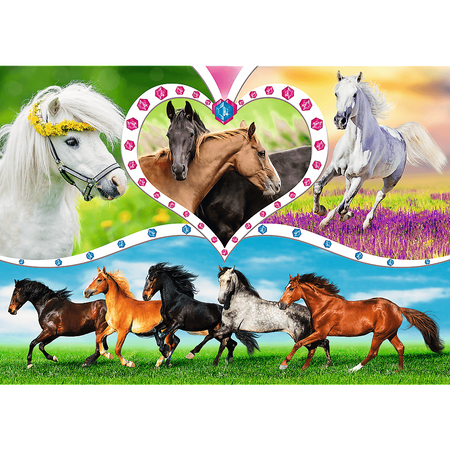 Puzzle Trefl 200 Piękne konie 132489
