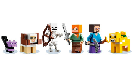 Lego 21169 pierwsza przygoda 913873