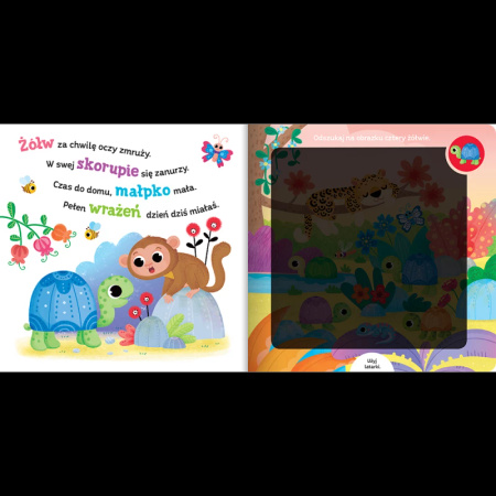Poszukaj zwierzątek w dżungli. Książka z latarką 740232