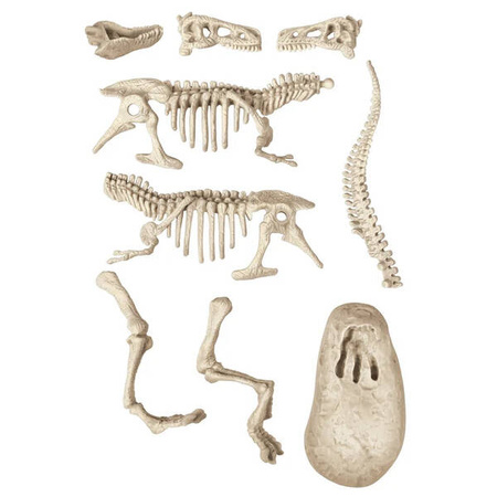 Clementoni Naukowa zabawa Skamieniałości T-Rexa 508587